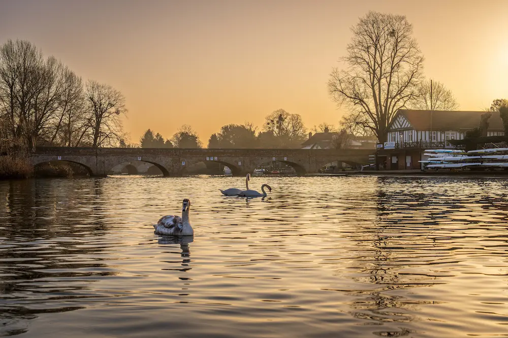 SwimFitz private home swimming lessons in Henley-on-Thames, Oxfordshire